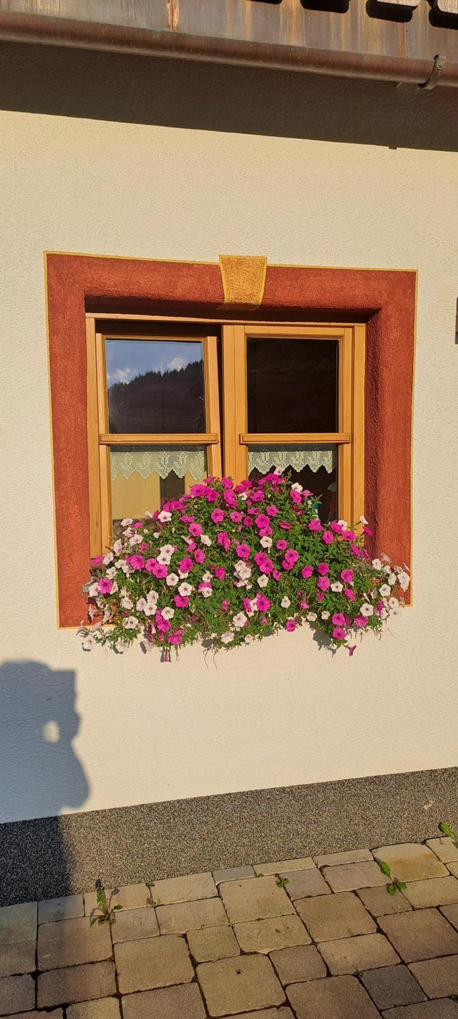 Ferienwohnung Steinernes Meer มาริอาอาล์ม อัม ชไตเนอร์เนินเมียร์ ภายนอก รูปภาพ